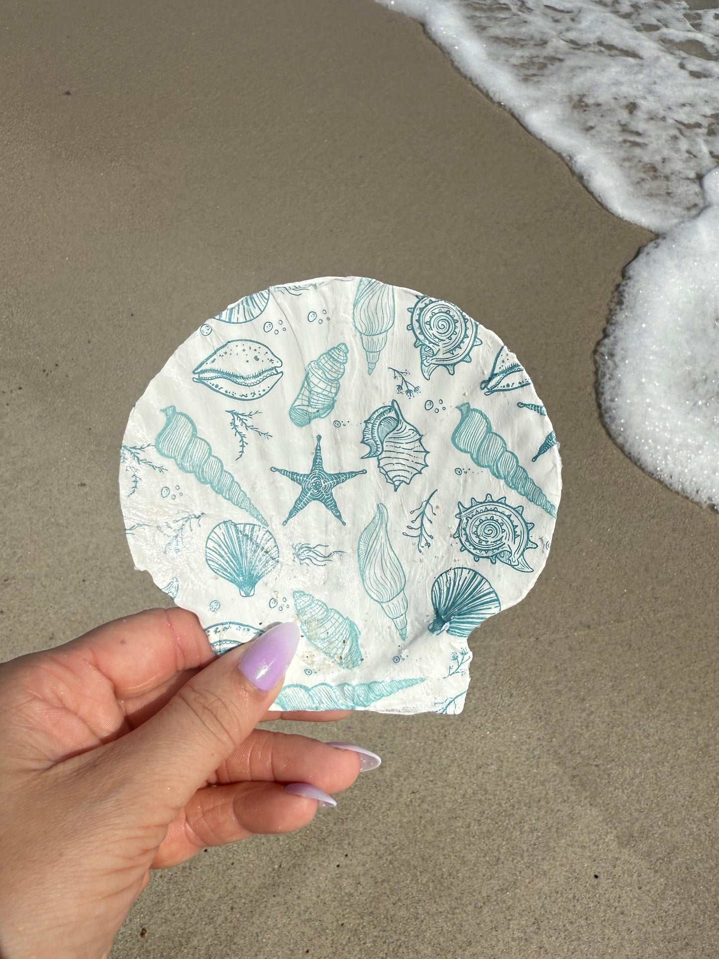 Hand holding seashell trinket dish with sand and water background