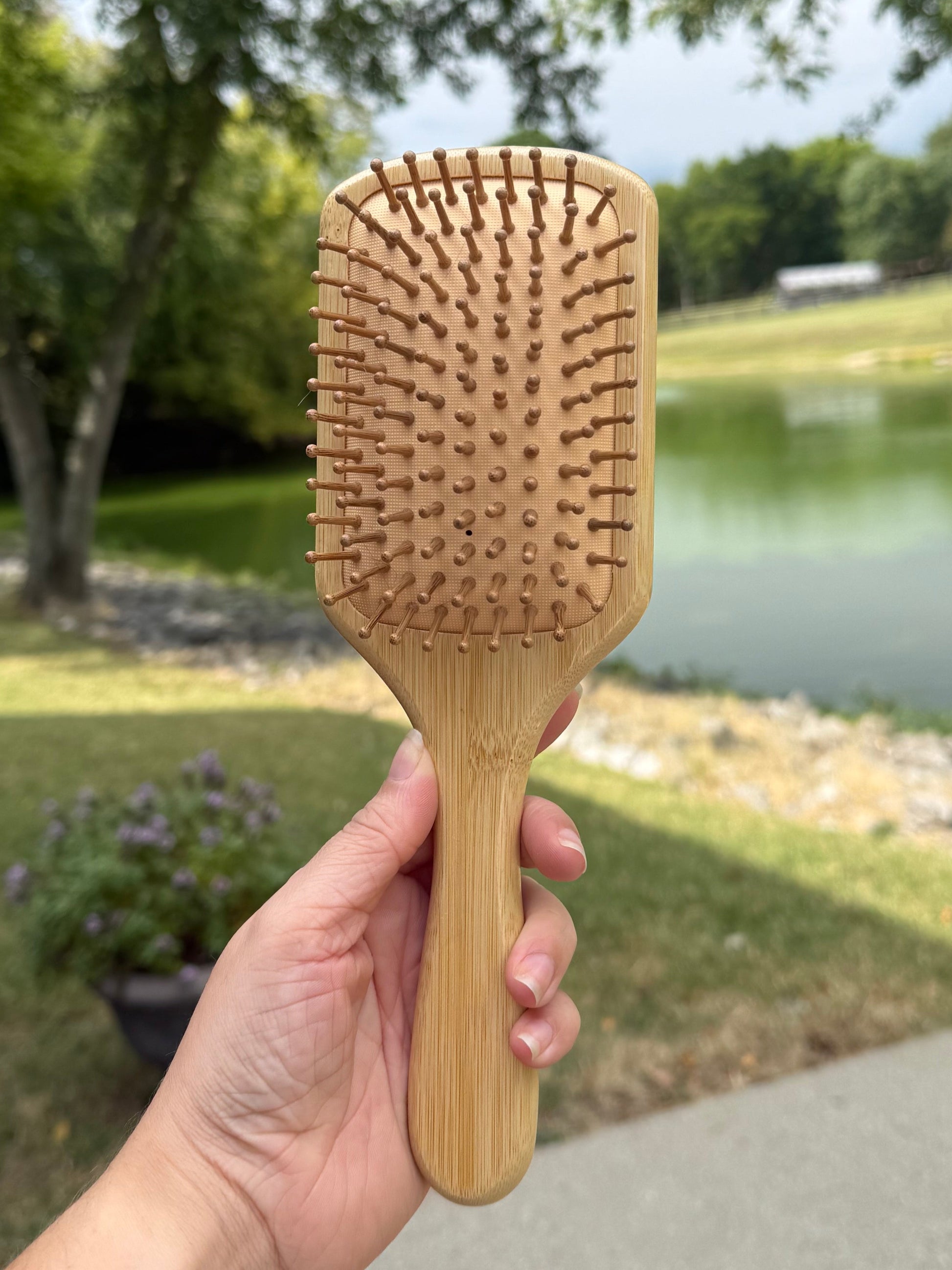 Hand holding a wooden hairbrush with a park background