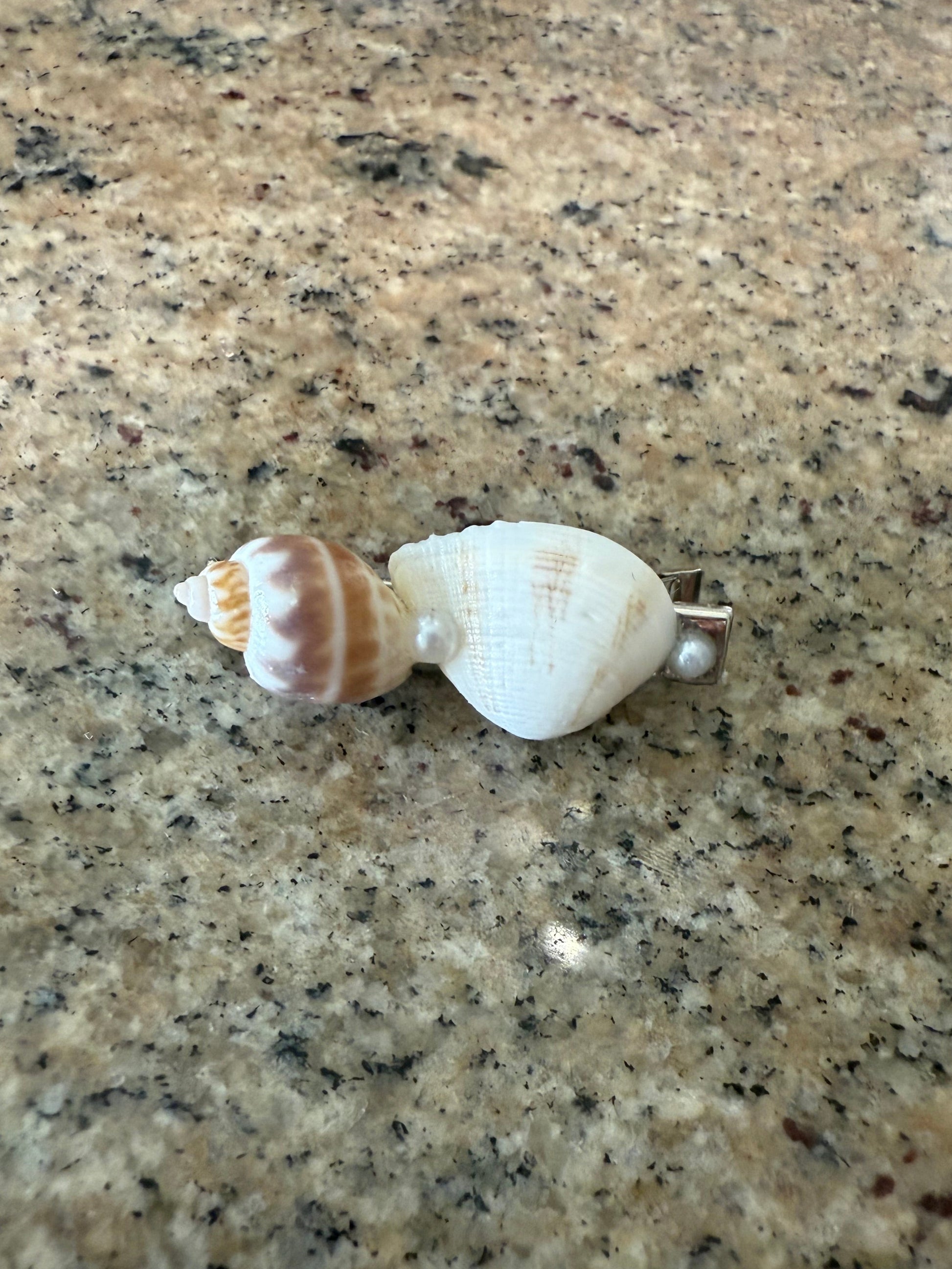 Seashell hair clip on a textured beige surface