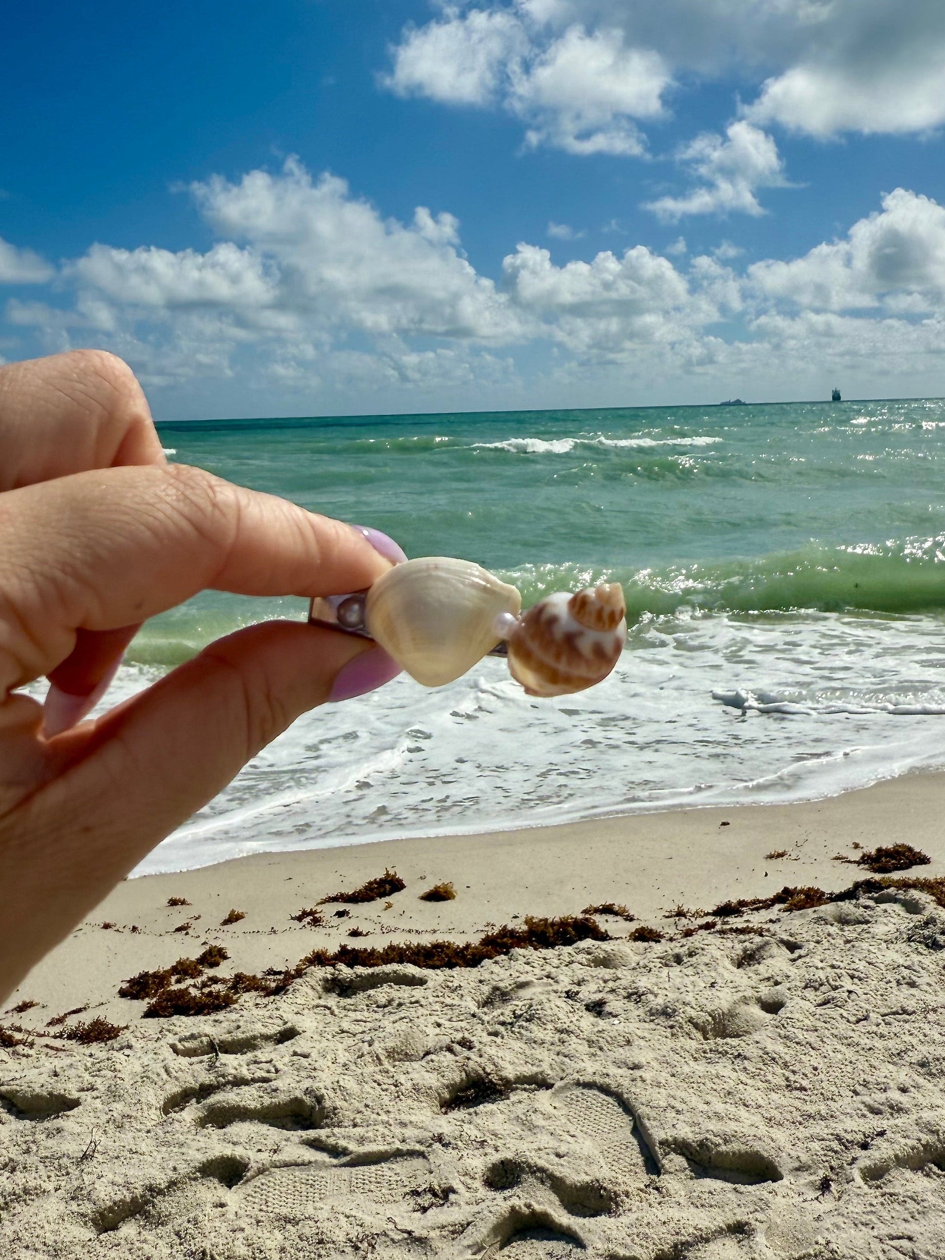 hand holding a seashell hair clip with beach ocean and sky background