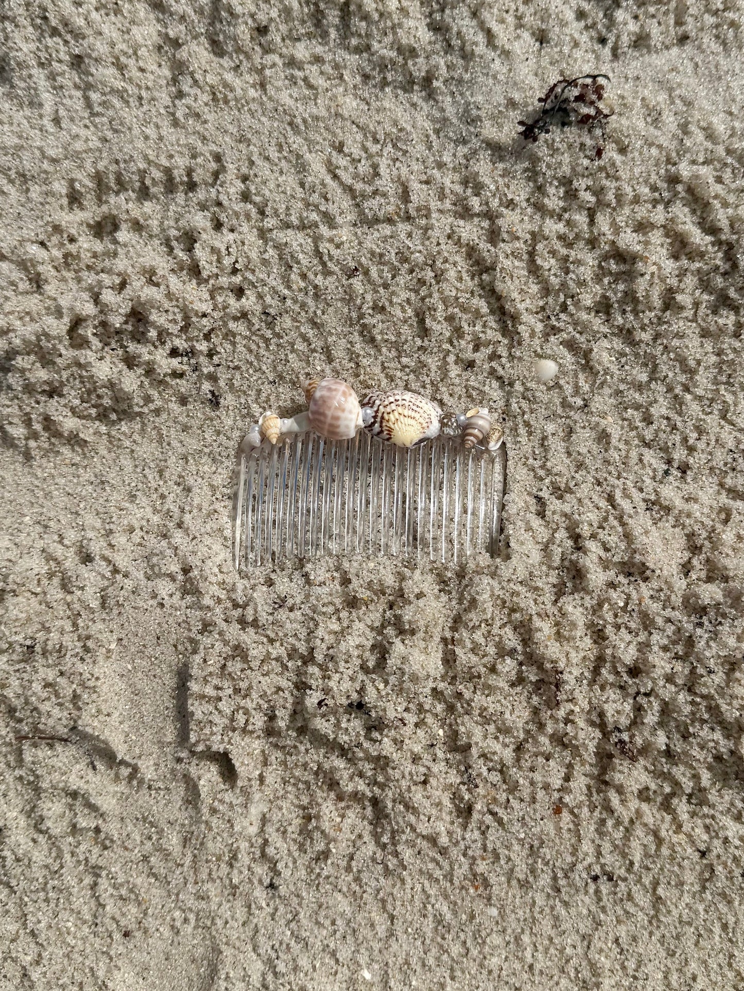 Seashell hair comb in the sand