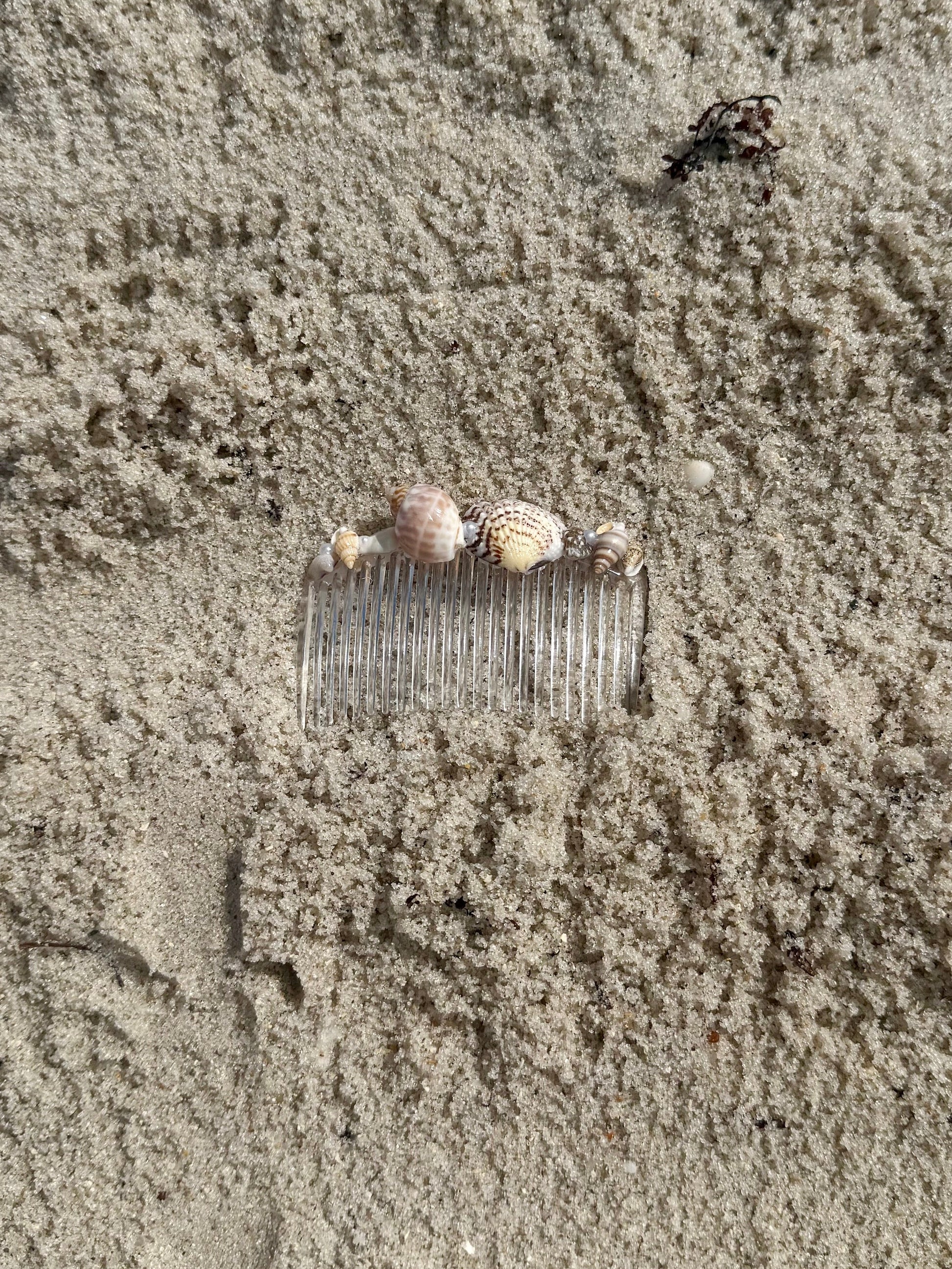 Seashell hair comb in the sand
