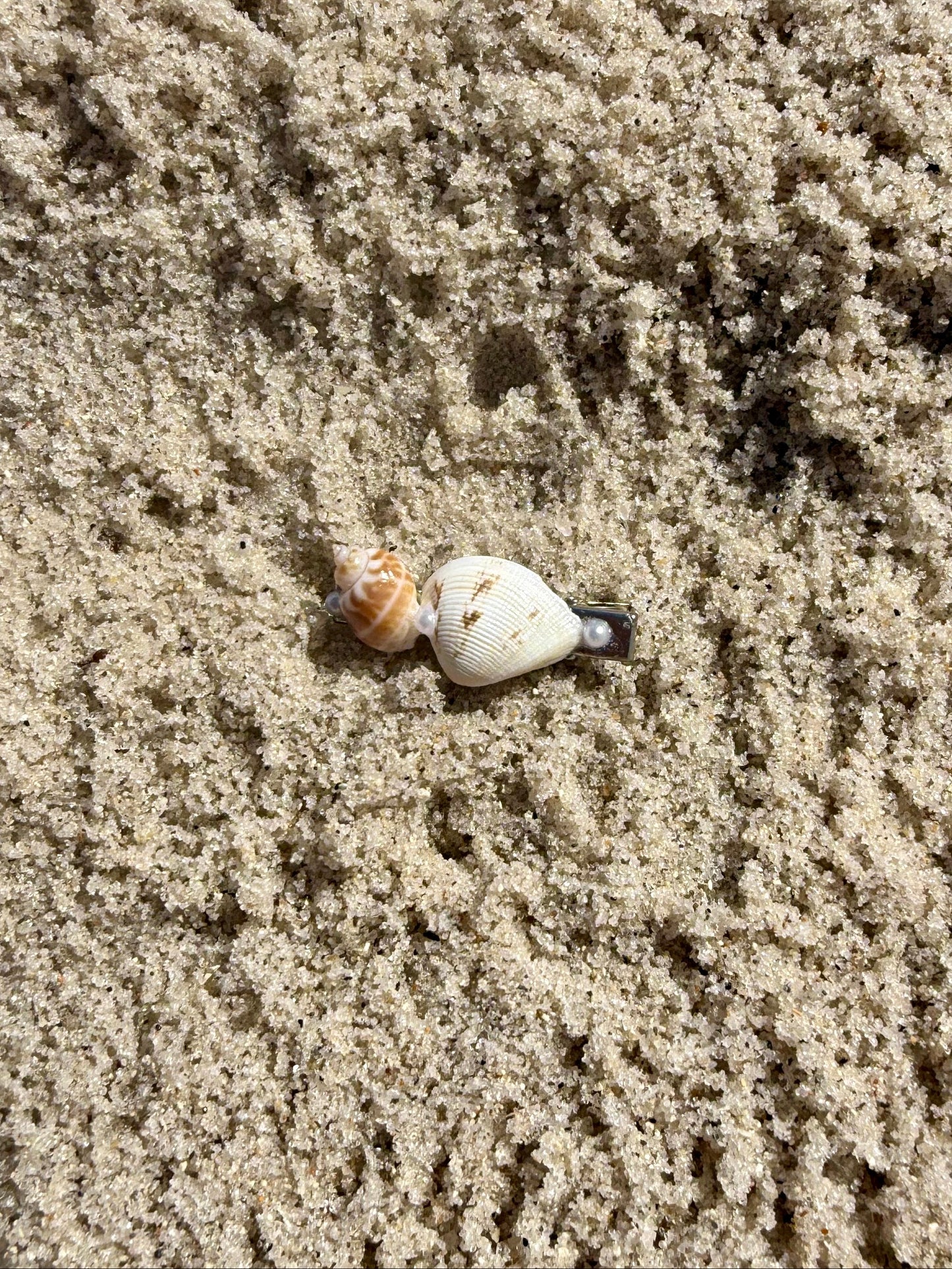 seashell hair clip on the sand