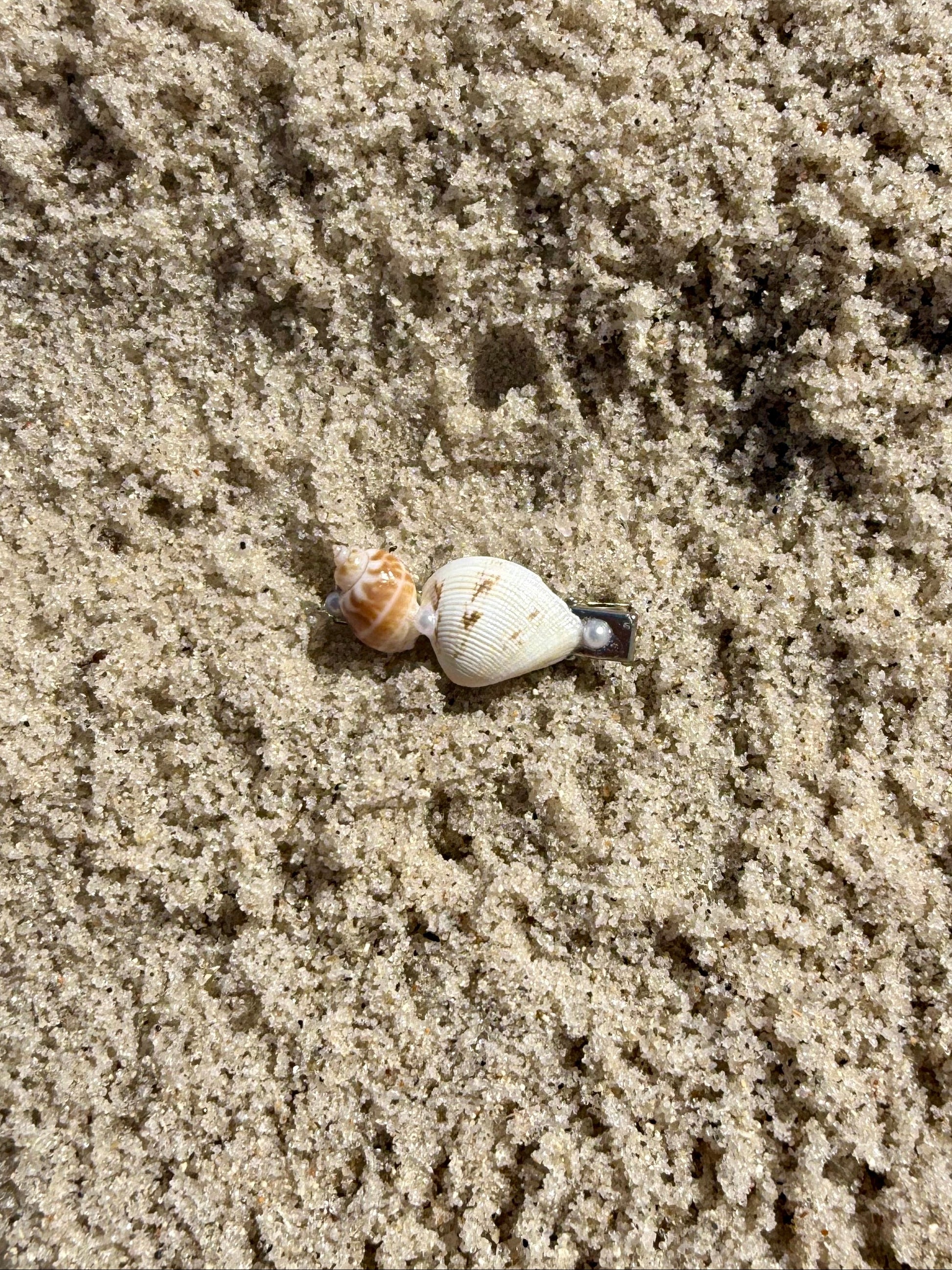 seashell hair clip on the sand