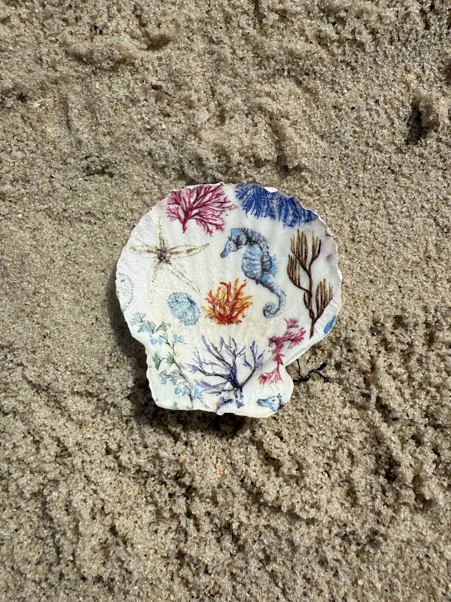 Decorative shell with sea creature patterns on a sandy surface