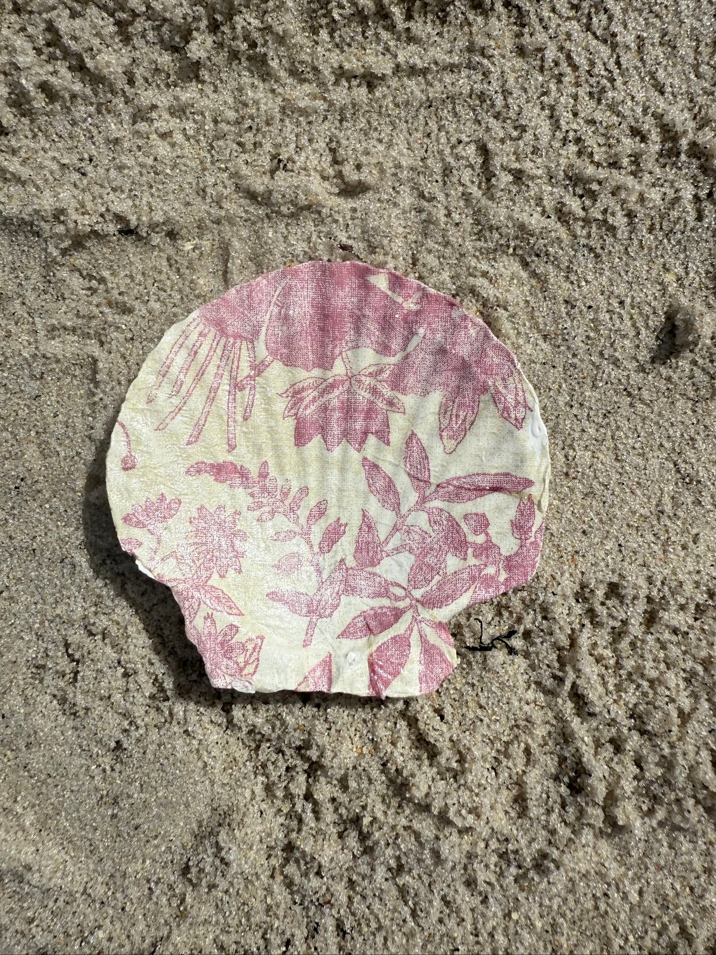Floral-patterned shell on sandy beach