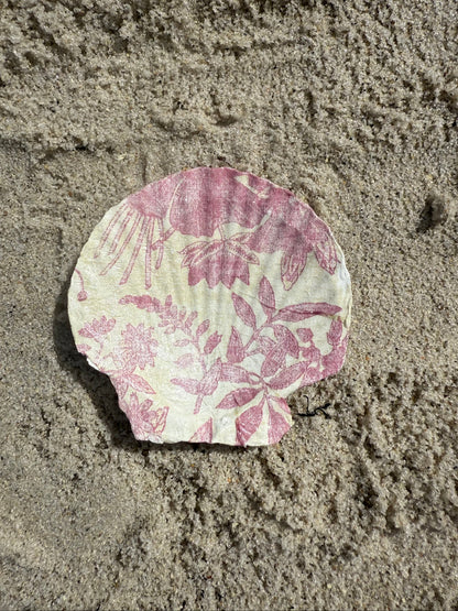 Floral-patterned shell on sandy beach