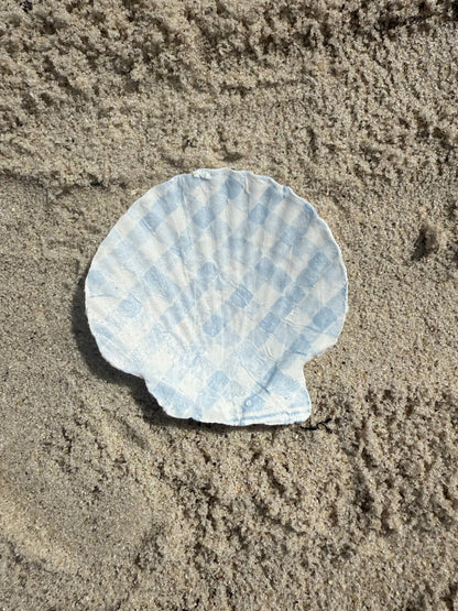 Seashell on a sandy beach