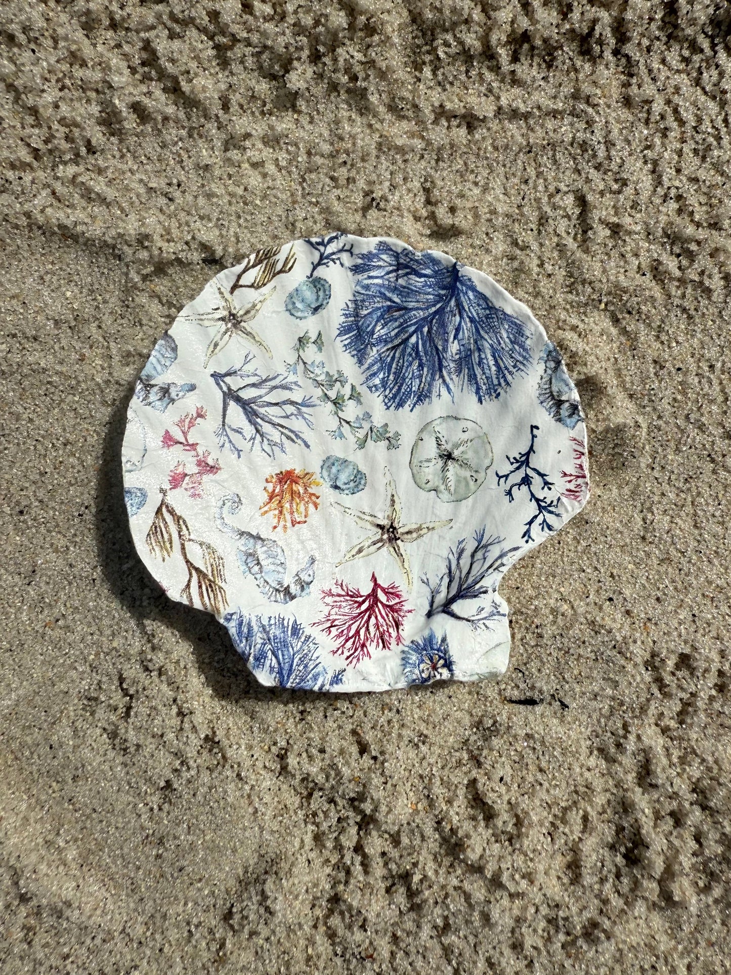 Seashell Trinket Dishes - Scallop Shell Jewelry Holders, Mermaid Gift, Ocean Lover