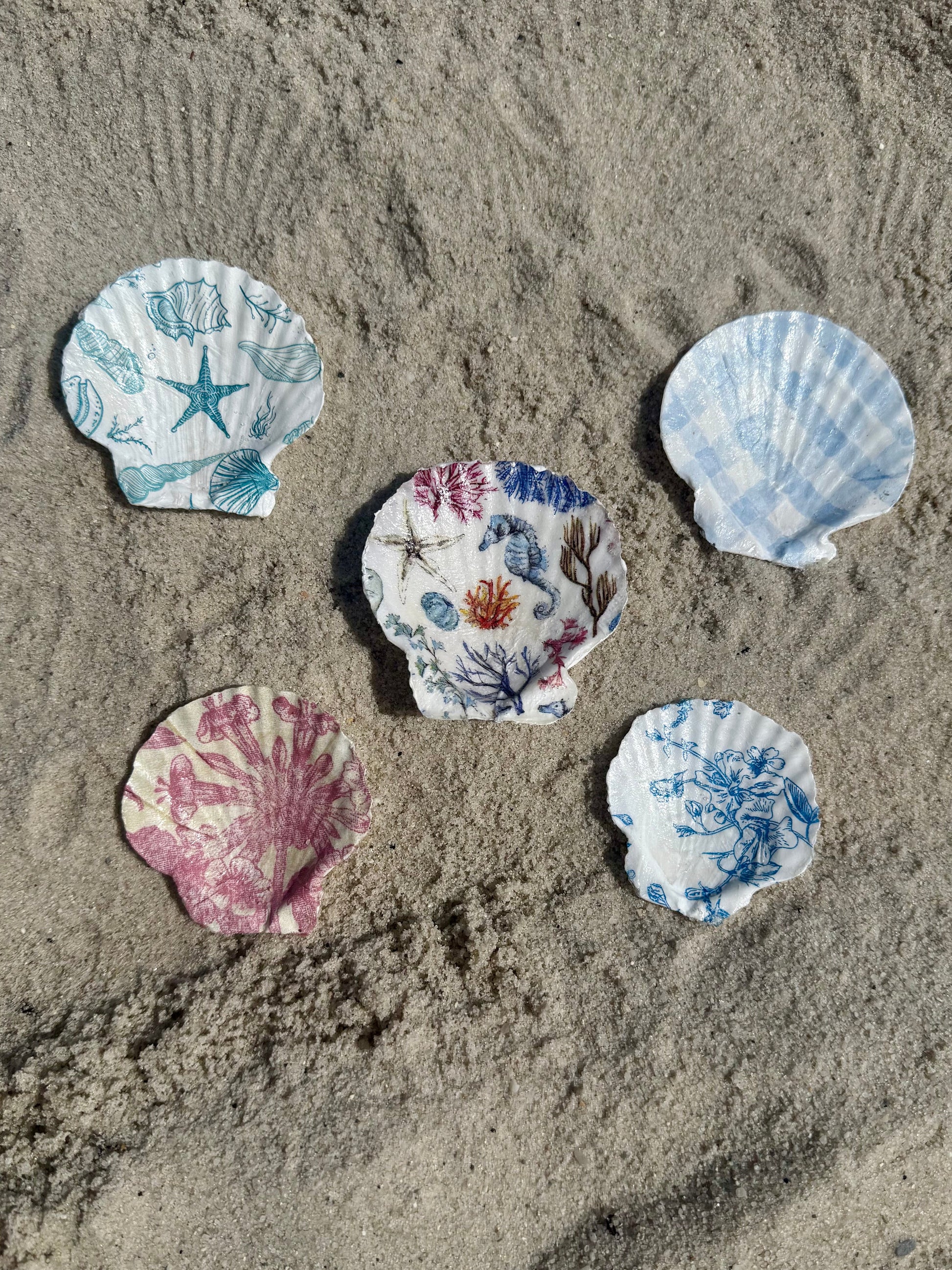 Decorative seashells on a sandy surface