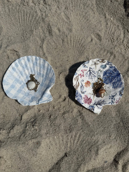 Two decorative shells on a sandy surface