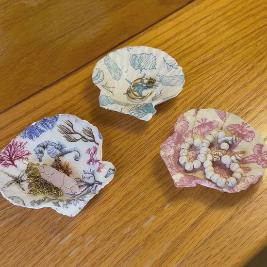 video of seashell trinket dishes showing the front and back as well as displayed with jewelry.